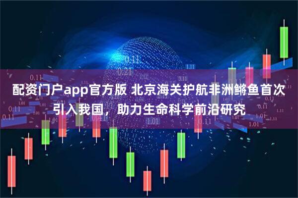 配资门户app官方版 北京海关护航非洲鳉鱼首次引入我国，助力生命科学前沿研究