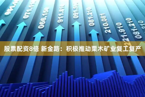 股票配资8倍 新金路：积极推动栗木矿业复工复产