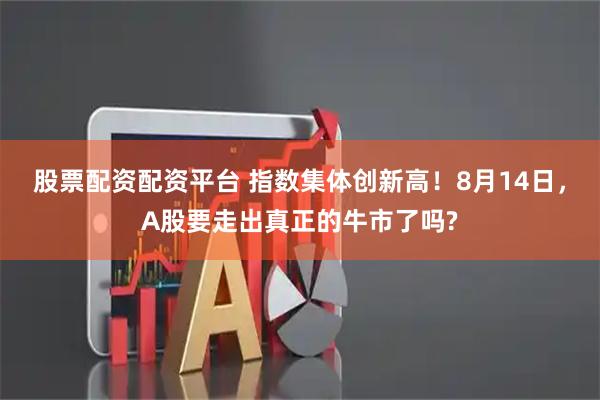 股票配资配资平台 指数集体创新高！8月14日，A股要走出真正的牛市了吗?